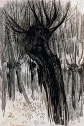 Willows, 1902-1904