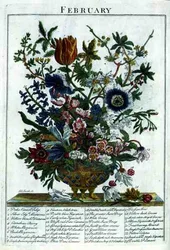 February, from The Flower Garden Displayed by Robert Furber, engraved by James Smith, pub. 1732