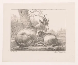 Goat and Sheep in Landscape