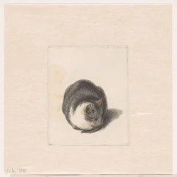 Seated Cat, Seen from the Front