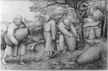 The Beekeepers, 
