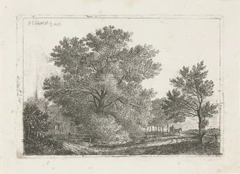 Landscape with Large Tree