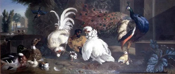 A Peacock, Chickens, Ducks and a Kingfisher