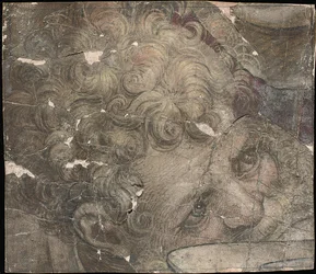 Head of a Bearded Man Looking Upwards