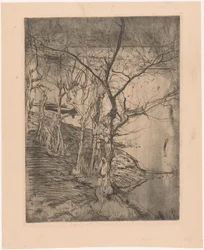 Bare Trees by the Water