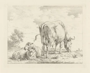 Cow with Two Sheep
