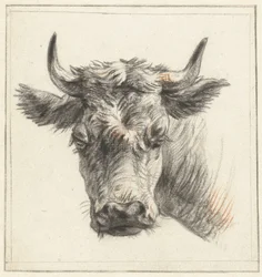 Head of a Bull