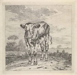 Landscape with Calf