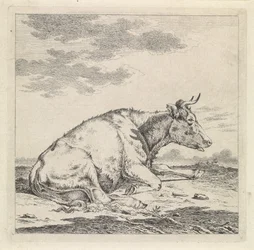 Lying Cow, Facing Right