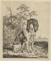 Sitting Partridge Dog