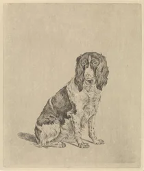 Seated Partridge Dog