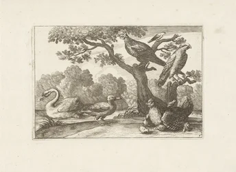 Hen with Chicks and Other Birds