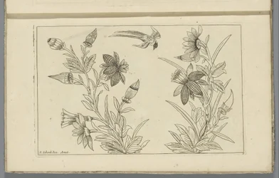 Two Flowering Shrubs and a Swallow