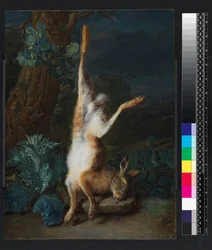 A dead hare, before 1782