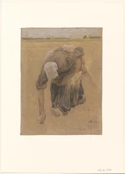 Woman Gleaning