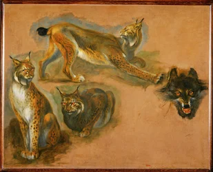 A lynx, head of a wolf