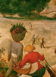 The Hay Harvest