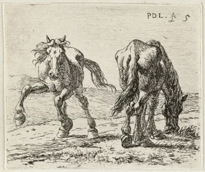Two Horses in a Pasture
