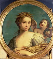 Unknown Image