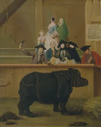 The Rhinoceros