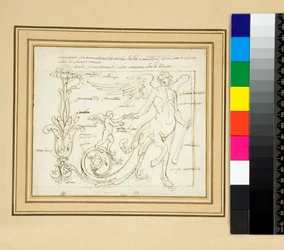 Ornamenti che tramezzano le vitorie delle amazzoni