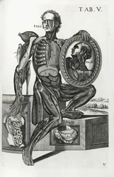 Plate V from 