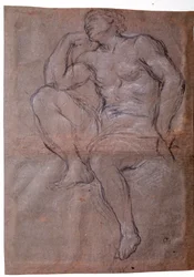 Young Man, Study