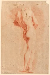 Figural Study