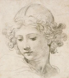 Head of an Angel, Looking Down to the Left