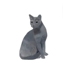 Russian Blue, 2014