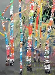 Colorful Birch Forest