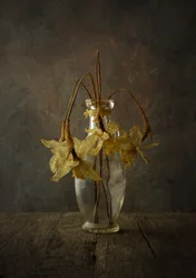 Moody Floral Still Life