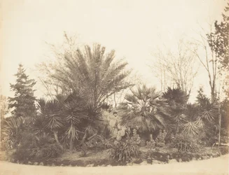 Pincian Garden, Rome, 1853-56