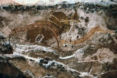 Aboriginal Rock Painting at Ubirr Caves, Kakadu National Park