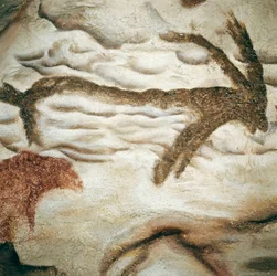 Cervid Rock Painting, Cave de Lascaux, Dordogne, France, Upper Paleolithic (Magdalenian) c. 13000 Years Ago