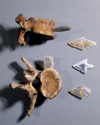 Flint with prehistoric bone in it, Museum of National Antiquities