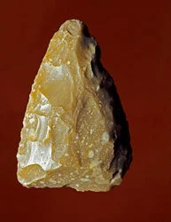 Lithic Manufacturing Tool of Campignana Culture