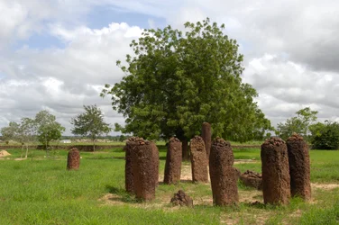 Prehistory: Megalithic circle of stones from Wassu, Gambia (photo)