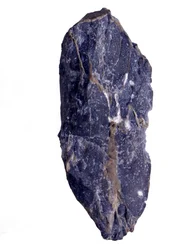 Prehistory: Periods of the Archeozoic or Precambrian (Archaic) fragment of Collenia rock of stromatolith or stromatolite type. From the United States.