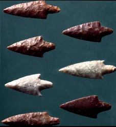 Prehistory, Rinaldone culture (Montefiascone): arrows from the necropolis of Rinaldone. Copper Age. Eneolithic. 2200 BC. Rome, Museo Nazionale Preistorico Etnografico Luigi Pigorini