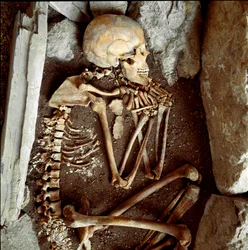 Female skeleton from the cave of the Candide Arene. Stone age, neolithic. Museo di archeologia Ligure, Genoa