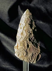 Flint Amygdaloid Biface