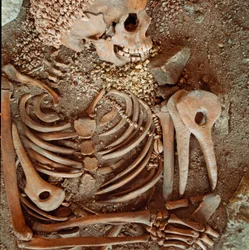Prehistory: skeleton and funerary trousseau of teenagers said to be the young prince from the Arene Candide cave, Finale Ligure: necklace of shells, deer horn and flint. Stone Age, Upper Paleolithic. Genoa, Museo di archeologia Ligure