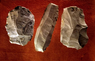 Prehistory: unpolished carved axes. Neolithic era. Saint-Germain-en-Laye, Museum of National Antiquities