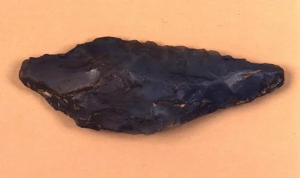 Stone arrowhead discovered in Isolino di Varese, Italy