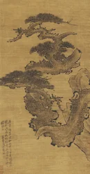 Ancient Pine