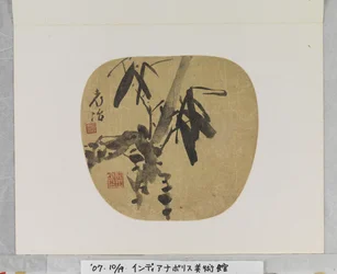 Bamboo