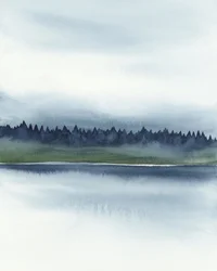 Misty Forest Lake