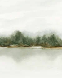 Misty Forest Reflection