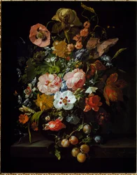 Still Life